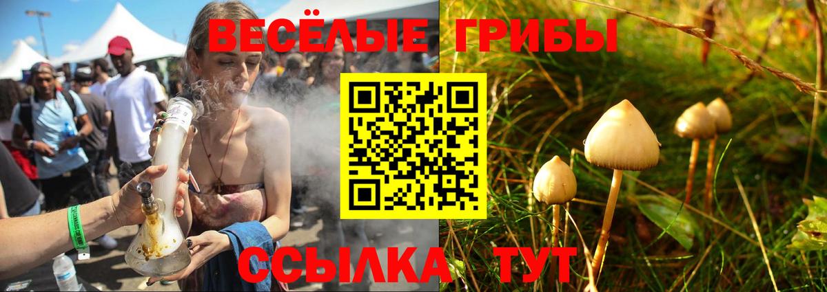 Нижний Тагил  Псилоцибиновые грибы MAGIC MUSHROOMS  Вход с VPN 